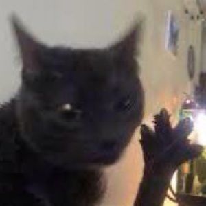 Meet your Posher, Marie-anna